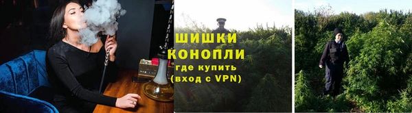 не бодяженный Гусев