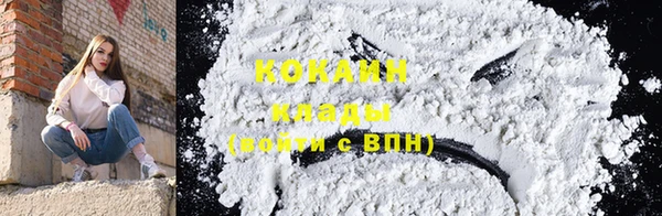 не бодяженный Гусев